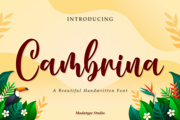 Cambrina: A Script Font for Real Design Work