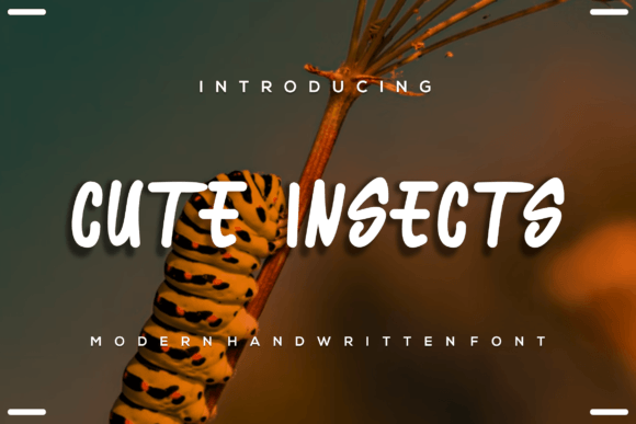 Cute Insects Font for Web Design