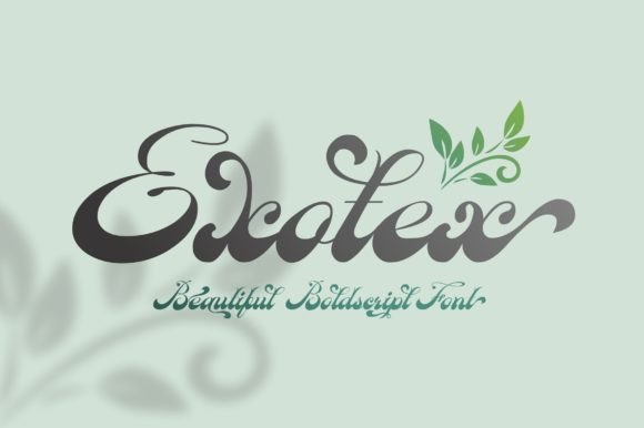 Exotex: A Bold Font for Web Design