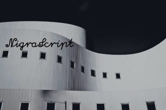 NiagraScript: A Warm Handwritten Font