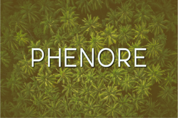 Phenore: A Modern Typeface for Digital Marketing