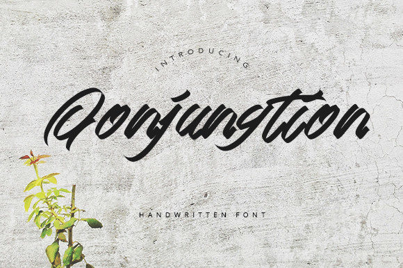 Qonjungtion: A Beautiful Script Typeface