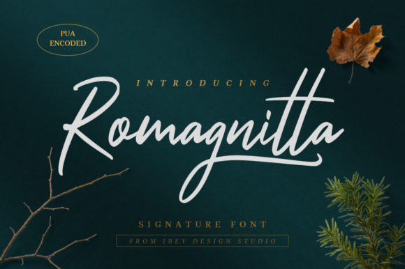 Romagnitta: A Handwritten Font for Web Design